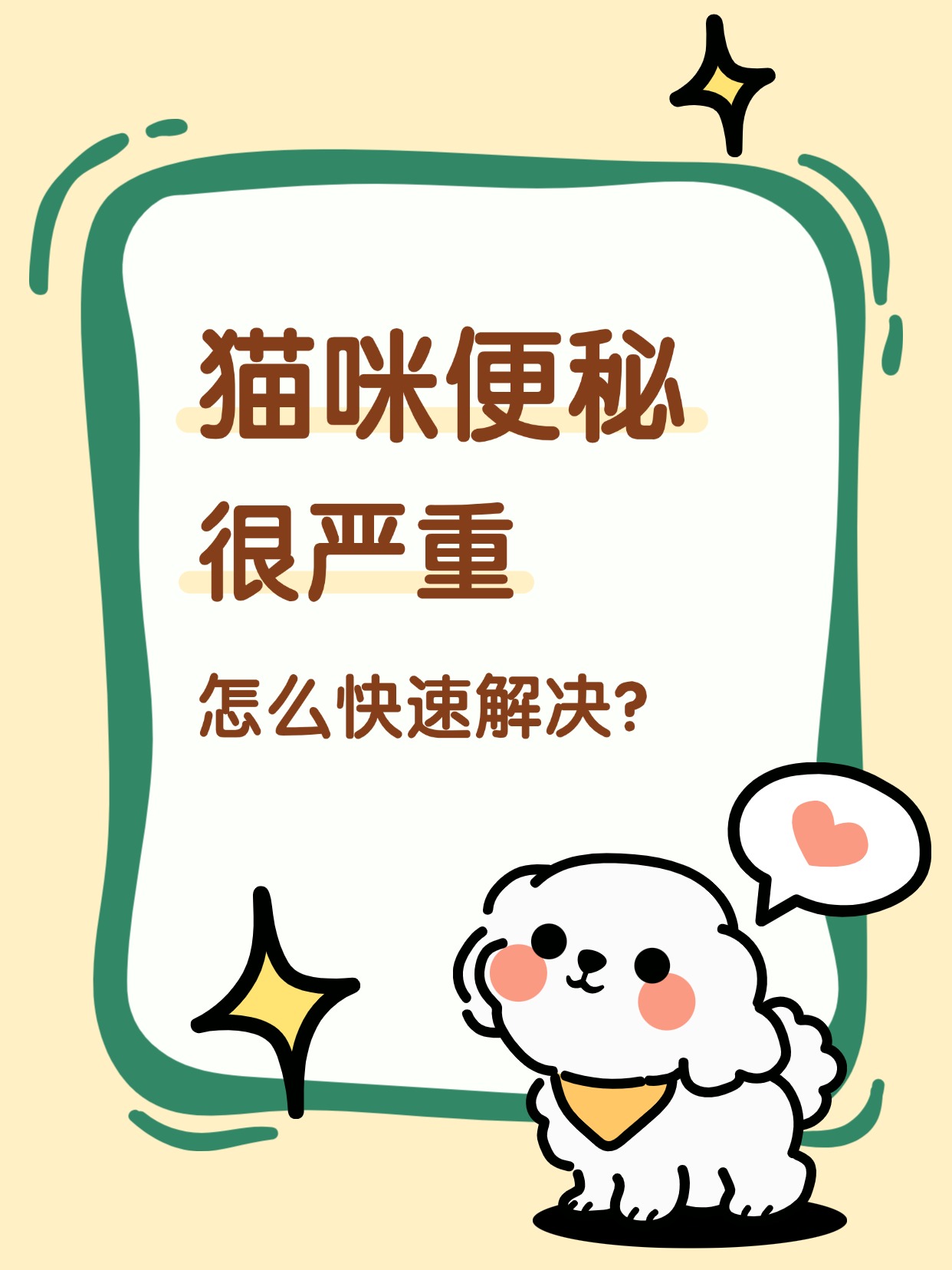 猫咪便秘急救指南！3步速通+防复发秘籍